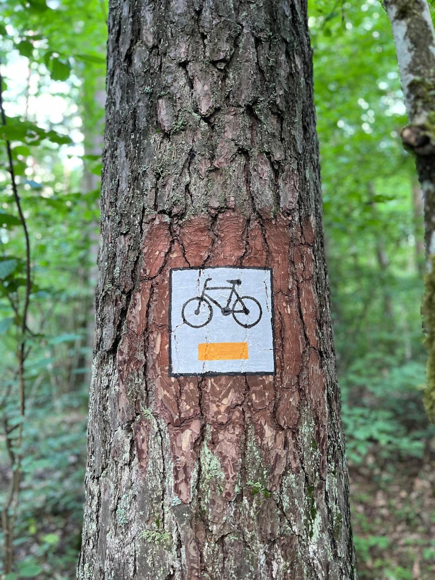 Przystanek Galkowo